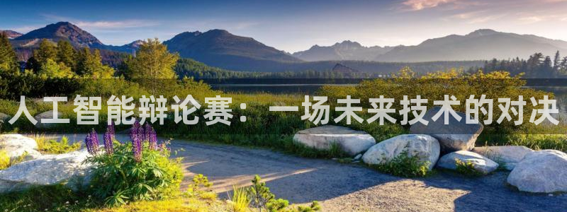 人工智能辩论赛：一场未来技术的对决