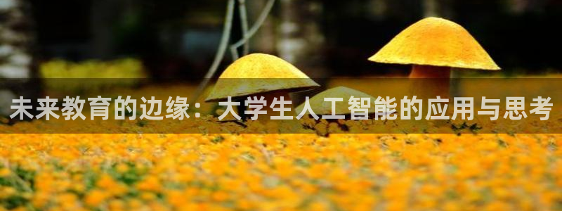 未来教育的边缘：大学生人工智能的应用与思考