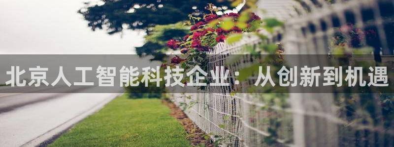 北京人工智能科技企业：从创新到机遇