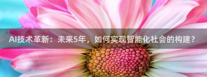 AI技术革新：未来5年，如何实现智能化社会的构建？
