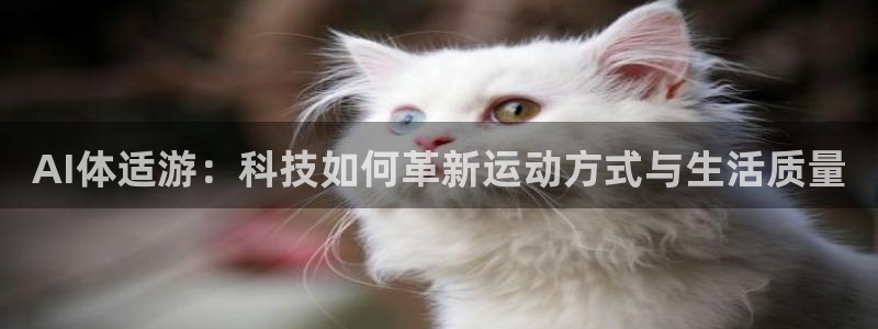 AI体适游：科技如何革新运动方式与生活质量