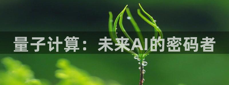 量子计算：未来AI的密码者