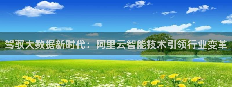 驾驭大数据新时代：阿里云智能技术引领行业变革