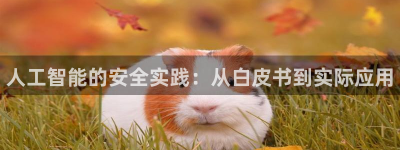 人工智能的安全实践：从白皮书到实际应用