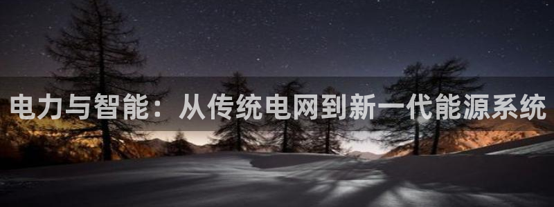 电力与智能：从传统电网到新一代能源系统