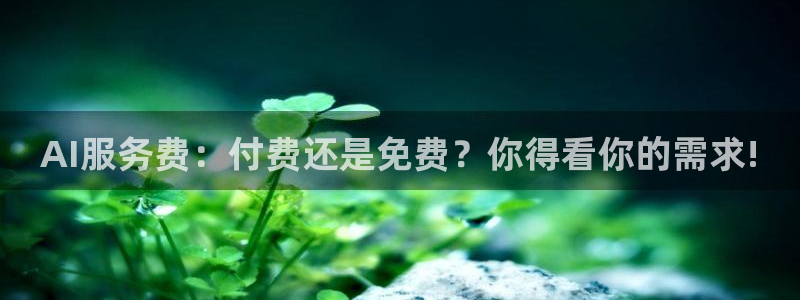 AI服务费：付费还是免费？你得看你的需求!
