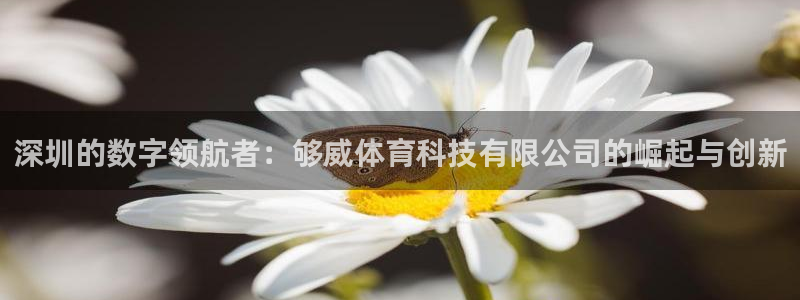深圳的数字领航者：够威体育科技有限公司的崛起与创新