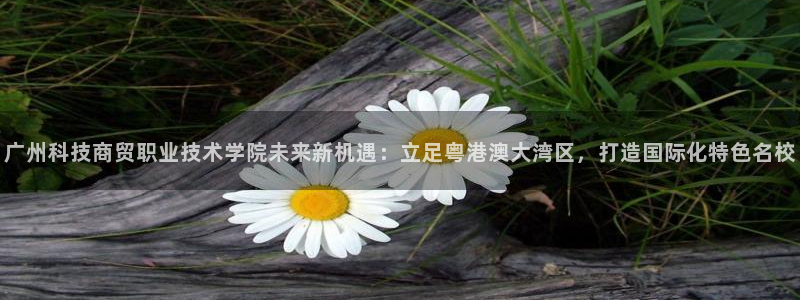 广州科技商贸职业技术学院未来新机遇：立足粤港澳大湾区，打造国际化特色名校