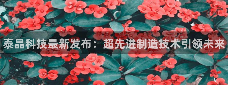 泰晶科技最新发布：超先进制造技术引领未来