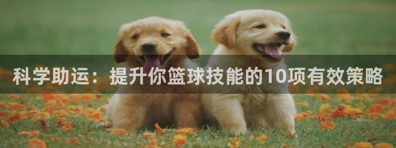 科学助运：提升你篮球技能的10项有效策略
