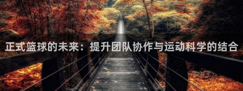 正式篮球的未来：提升团队协作与运动科学的结合