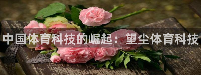中国体育科技的崛起：望尘体育科技
