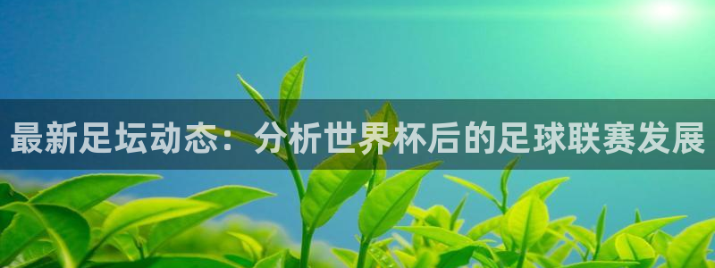 最新足坛动态：分析世界杯后的足球联赛发展
