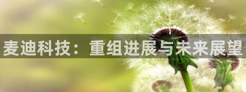 麦迪科技：重组进展与未来展望