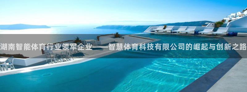湖南智能体育行业领军企业——智慧体育科技有限公司的崛起与创新之路