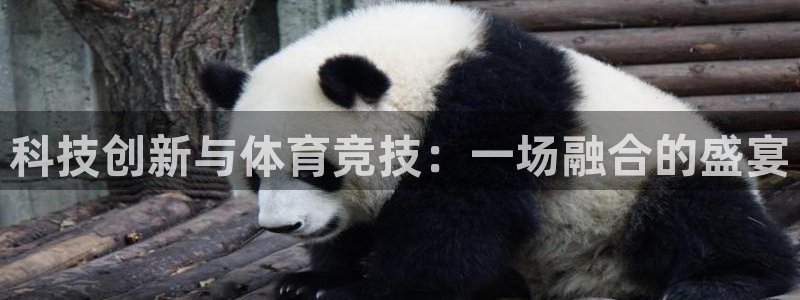 科技创新与体育竞技：一场融合的盛宴