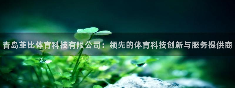 青岛菲比体育科技有限公司：领先的体育科技创新与服务提供商