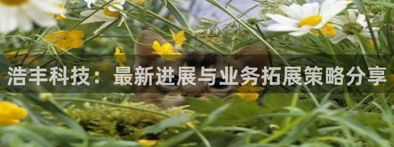 浩丰科技：最新进展与业务拓展策略分享