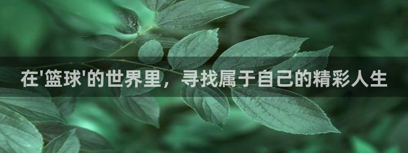 在\'篮球\'的世界里，寻找属于自己的精彩人生