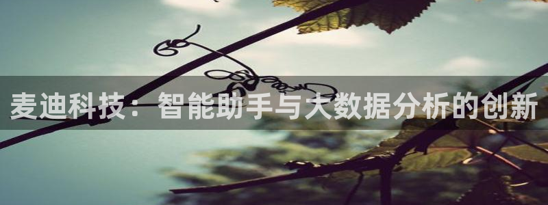 麦迪科技：智能助手与大数据分析的创新