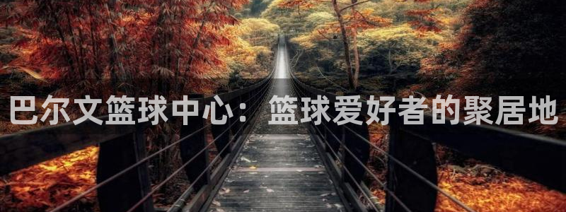 巴尔文篮球中心：篮球爱好者的聚居地