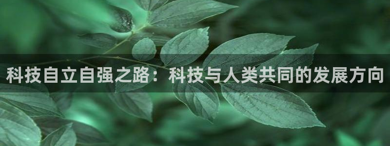 科技自立自强之路：科技与人类共同的发展方向